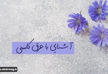 تصویر از با عرق کاسنی بیشتر آشنا شویم